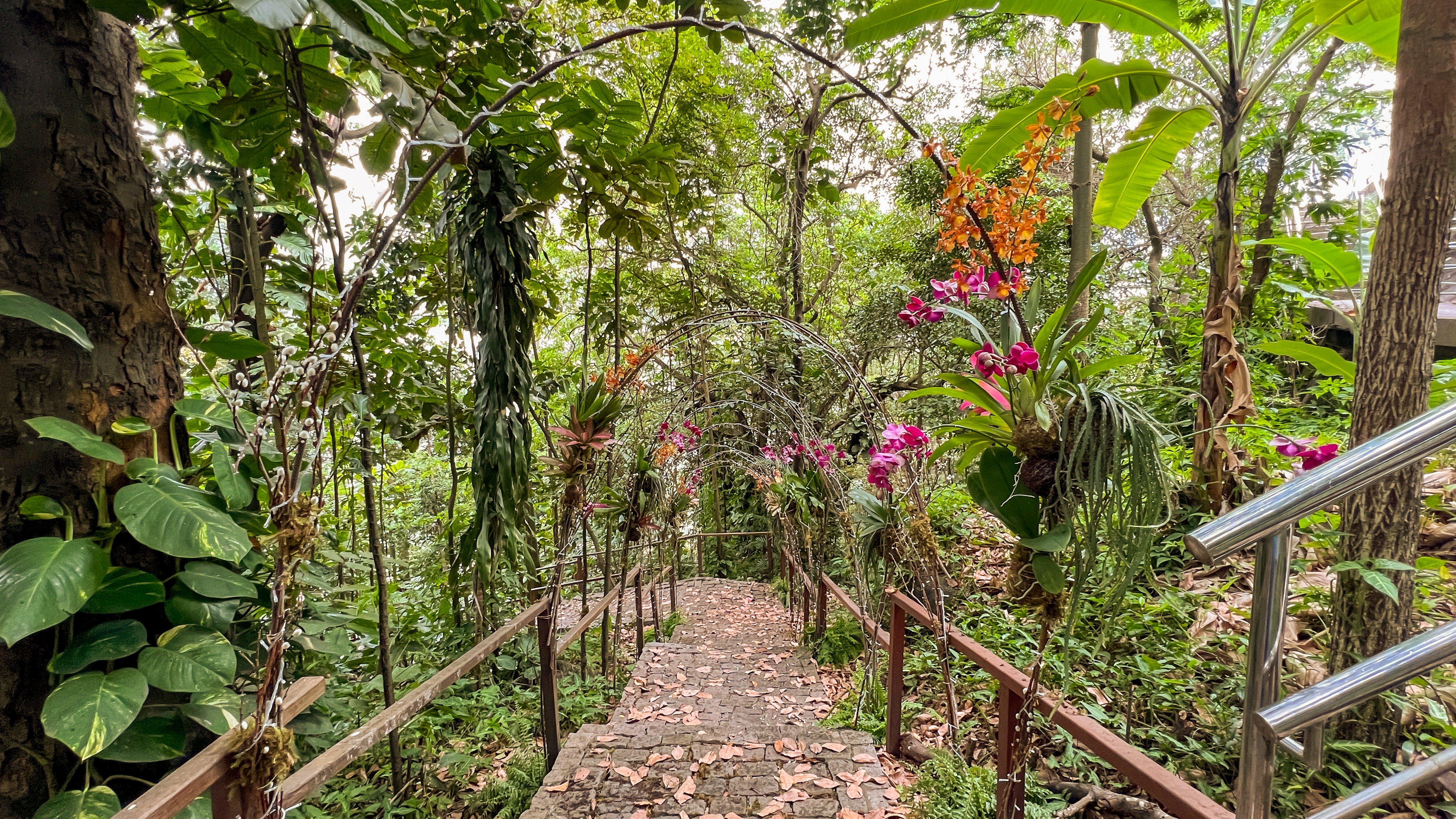 Alunos do curso de Florista decoram trilha ecológica do   Hotel Senac Ilha do Boi 